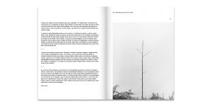 Las Formas de la Apariencia. La Fotografía De Carlos Puche - Book Design