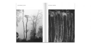 Las Formas de la Apariencia. La Fotografía De Carlos Puche - Book Design