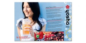 Carpeta Corporativa Y Flyer Yosha Teas - Graphic Design