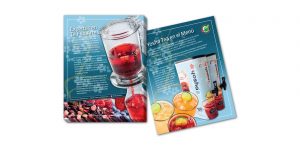 Carpeta Corporativa Y Flyer Yosha Teas - Graphic Design