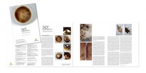 Carmen Araujo Arte - Logo Design