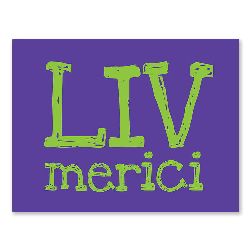 Albúm Sexto Grado Colegio Merici - Book Design